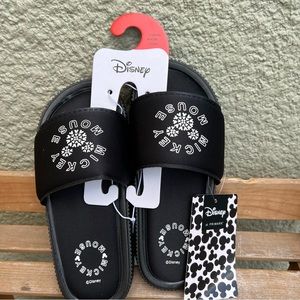 Mickey Mouse disney slides